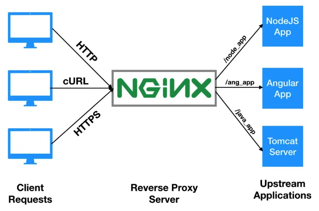 Nginx入门指北-第2张图片-网盾网络安全培训
