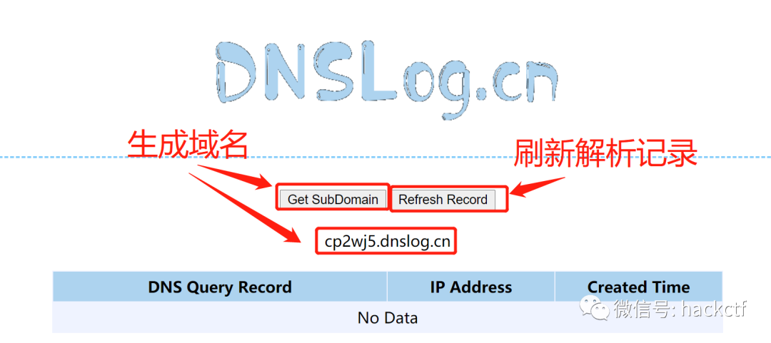 通过DNSLOG回显验证漏洞-第4张图片-网盾网络安全培训