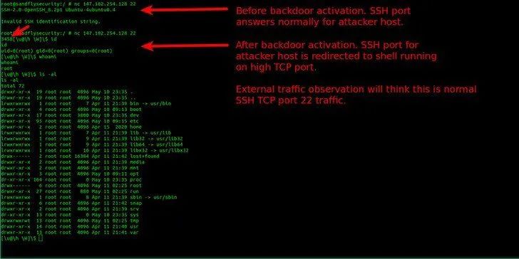 BPFdoor：隐形Linux恶意软件绕过防火墙进行远程访问-第2张图片-网盾网络安全培训